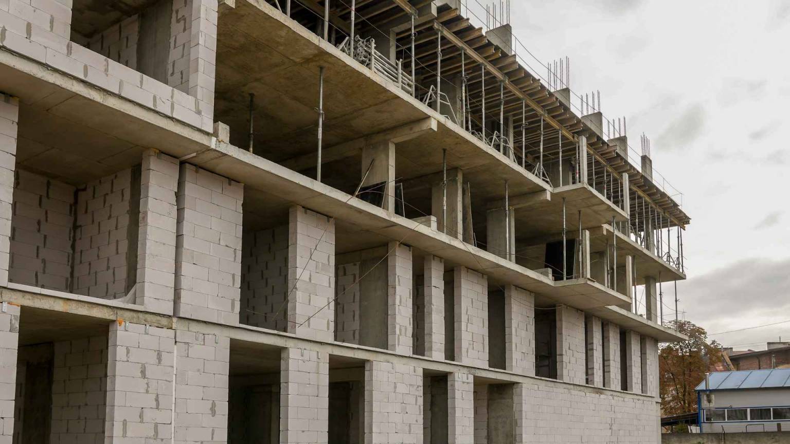 Вересень 2025 #9