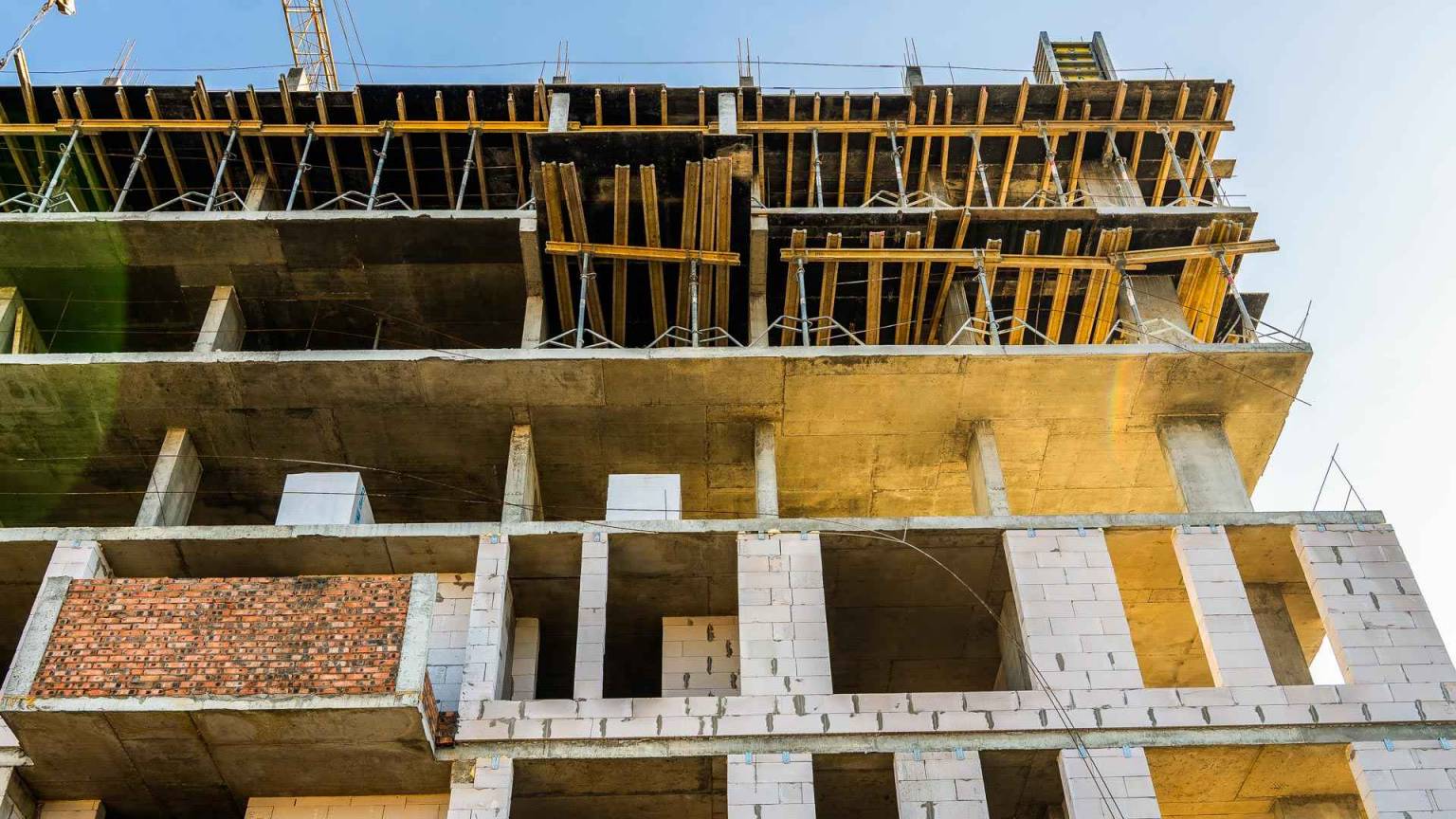 Листопад 2025 #18