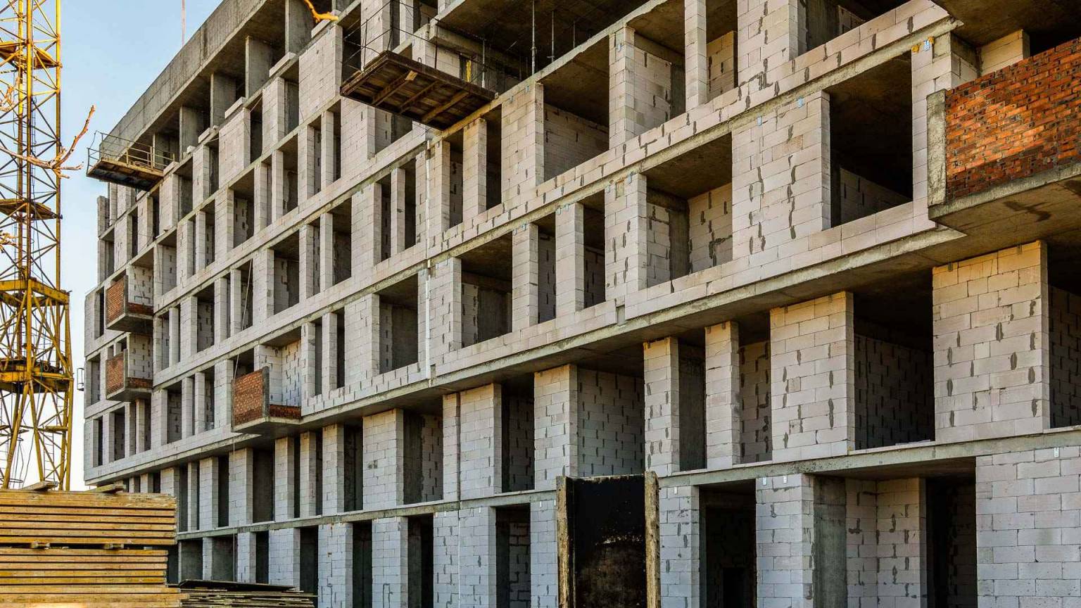 Листопад 2025 #19