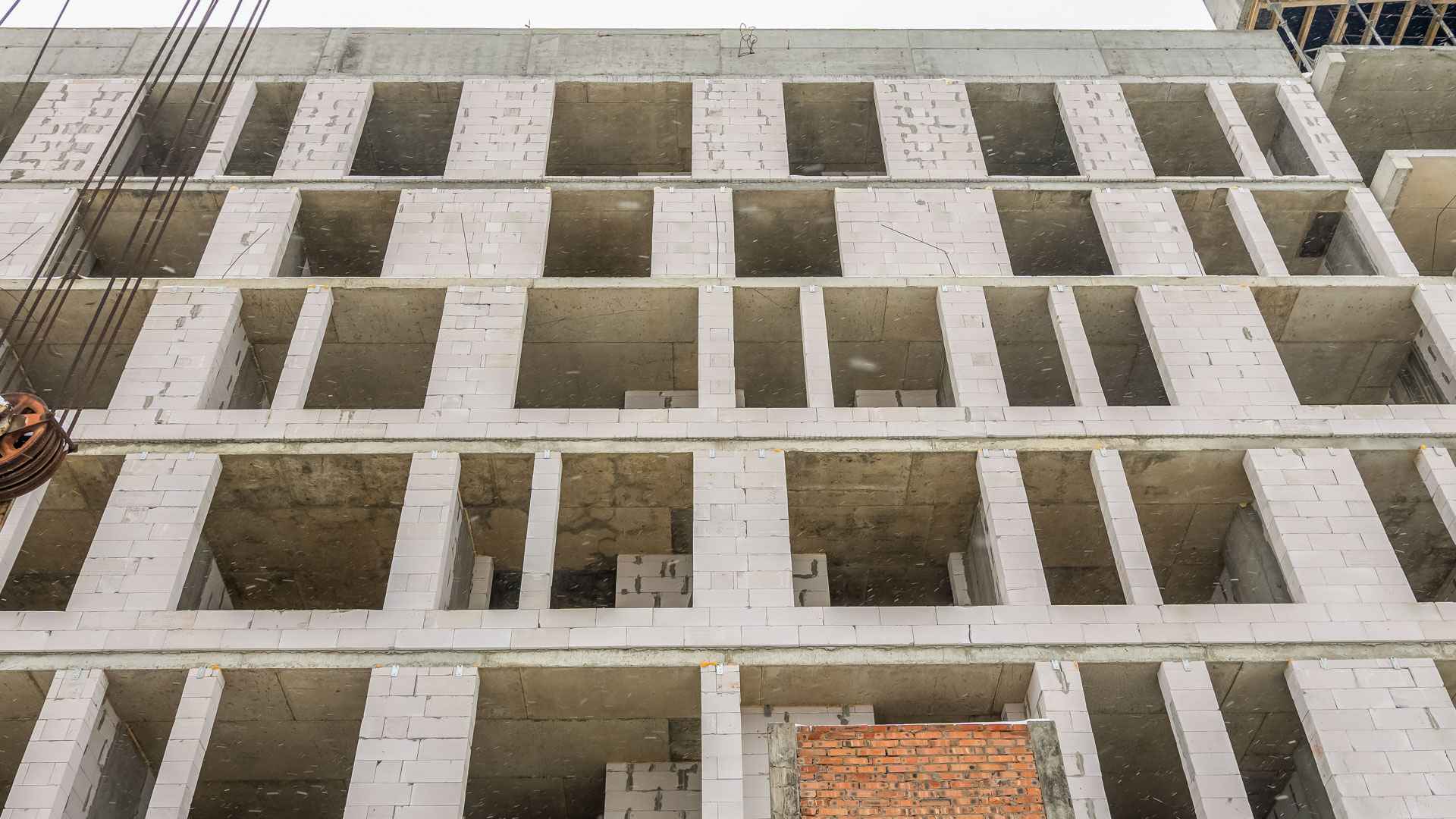 Грудень 2025 #15